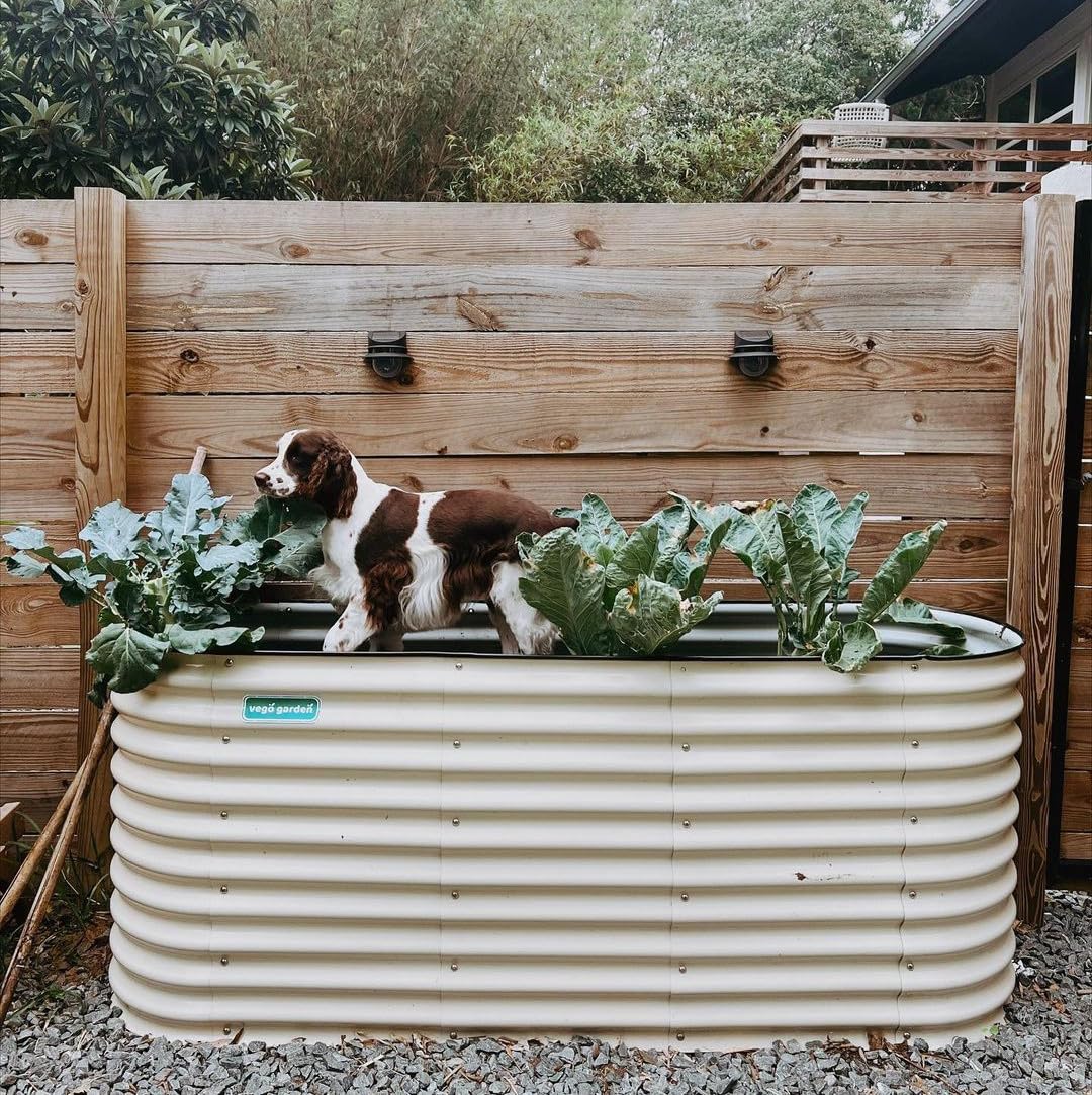 Vego garden 32" Extra Tall Raised Garden Bed Kits, 9 in 1 Modular Raised Planter Box for Vegetables Flowers Fruits Oval Metal Raised Garden Bed- Olive Green