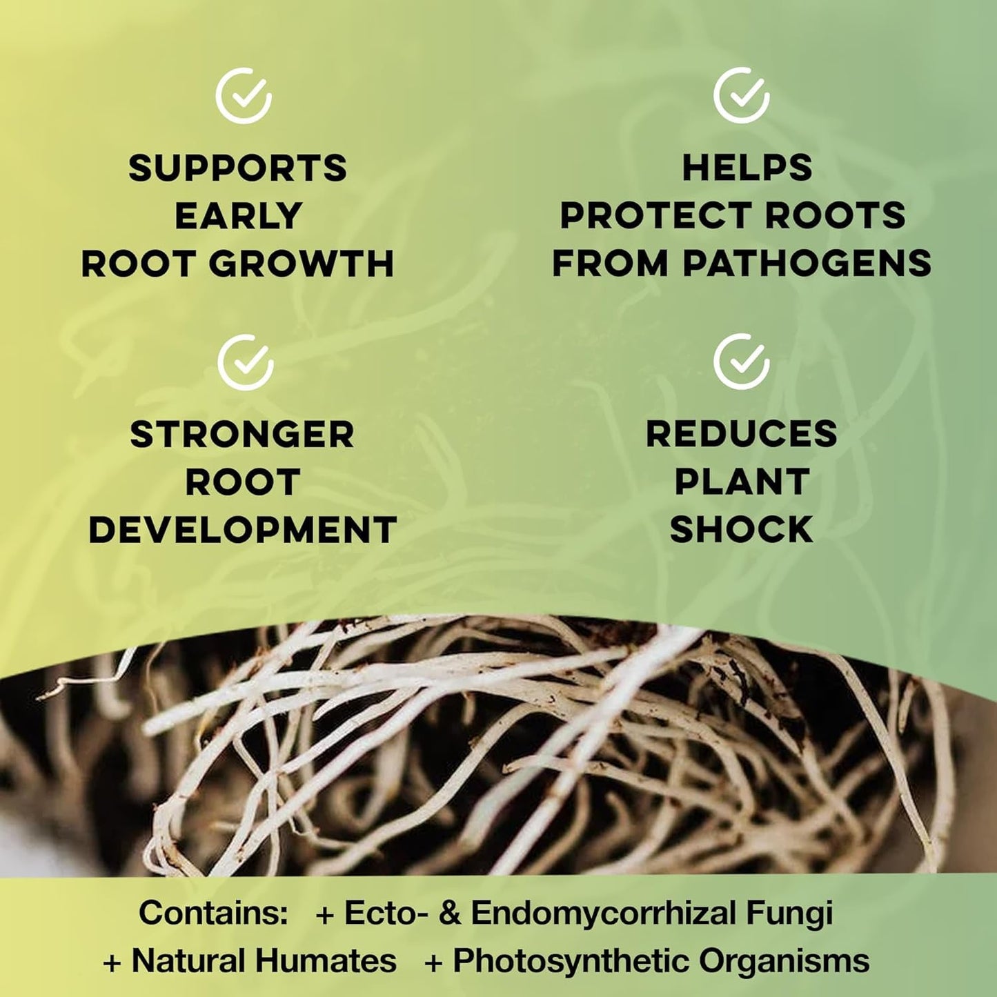 Microbe Life Hydroponics Premium Photosynthesis Plus to Grow Fruits, Vegetables, and Herbs, The Best Professional Big Bud Grow, Use with Any Feeding Systems Including Hydroponics or Soil, 1 Gallon