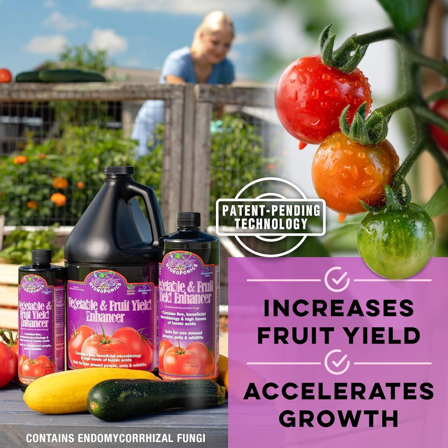 Microbe Life Hydroponics Premium Photosynthesis Plus to Grow Fruits, Vegetables, and Herbs, The Best Professional Big Bud Grow, Use with Any Feeding Systems Including Hydroponics or Soil, 1 Gallon