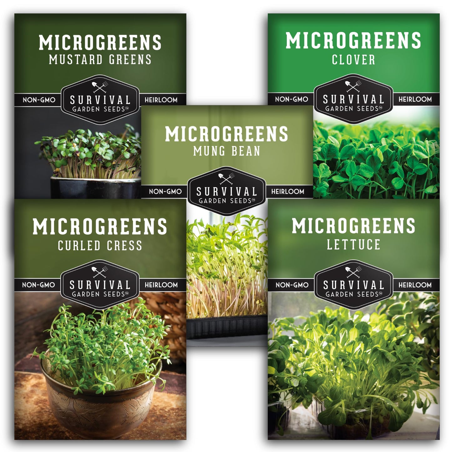 Survival Garden Seeds Microgreens 5 Pack (Seeds Only) - Plant, Sprout, and Grow a Mix of Microgreen Plants in Your Kitchen or on Your Windowsill - Arugula, Broccoli, Radish, Pea, Sunflower Seed