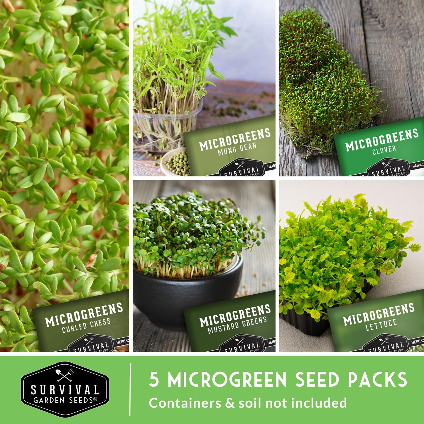 Survival Garden Seeds Microgreens 5 Pack (Seeds Only) - Plant, Sprout, and Grow a Mix of Microgreen Plants in Your Kitchen or on Your Windowsill - Arugula, Broccoli, Radish, Pea, Sunflower Seed