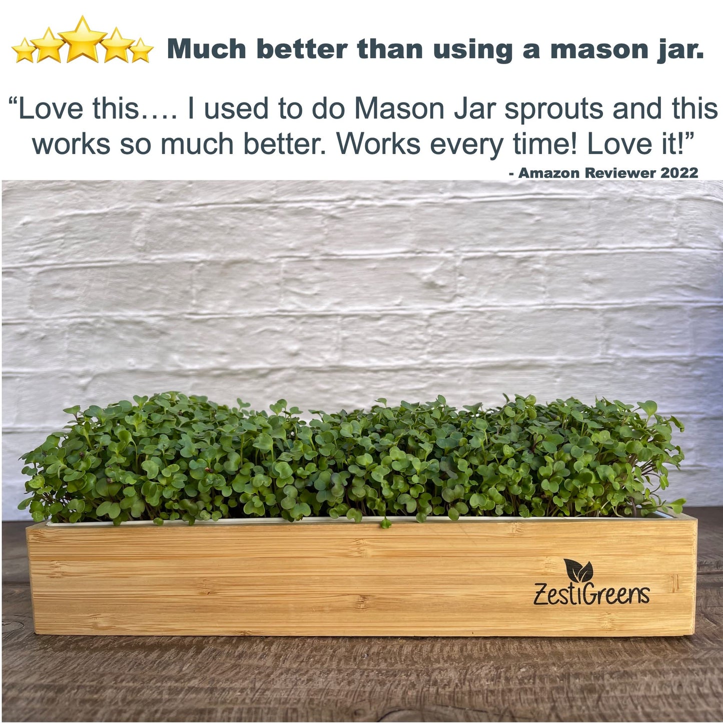 Self Watering Microgreens Growing Kit. Hands Down the Easiest Way to Grow Microgreens. Includes Microgreens Tray, Seeds, Mats, and Bamboo Surround. No Soil Needed. Easy Setup. (Salad & Broccoli)