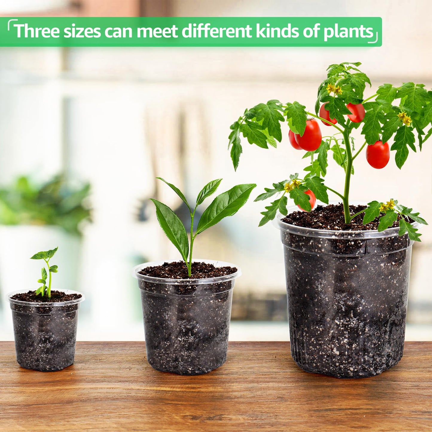36 Packs 6.7/5/4/3.5 Inch Reinforced Clear Nursery Pots with Drainage Hole, Transparent Variety Pack Plastic Plant Pot Seedling Planter Seed Starter Flower