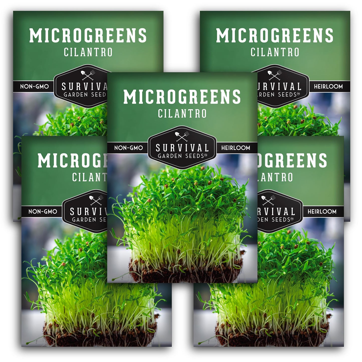 1 Pack Cilantro Microgreens Seeds for Sprouting and Growing - Sprout Green Leafy Micro Herb Plants Indoors - Grow A Mini Windowsill Garden with Micro Herb Seeds - Non-GMO Heirloom Micro Seeds