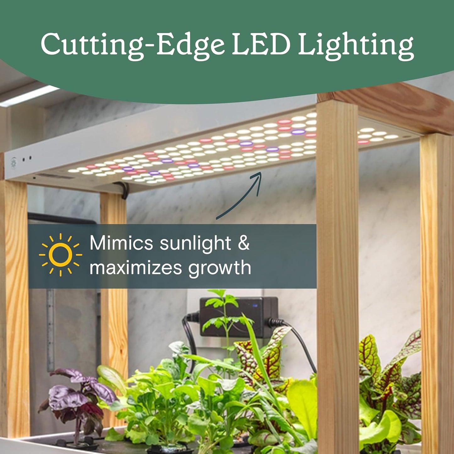Rise Gardens Personal Rise Garden Hydroponic Indoor Garden Kit with LED Grow Light, Countertop Size