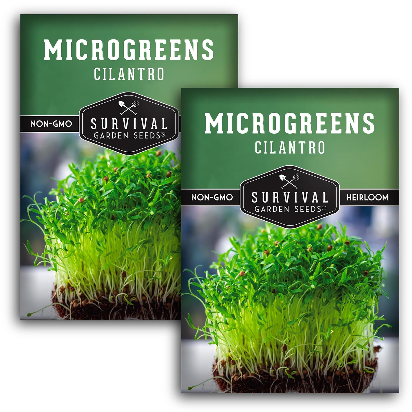 1 Pack Cilantro Microgreens Seeds for Sprouting and Growing - Sprout Green Leafy Micro Herb Plants Indoors - Grow A Mini Windowsill Garden with Micro Herb Seeds - Non-GMO Heirloom Micro Seeds