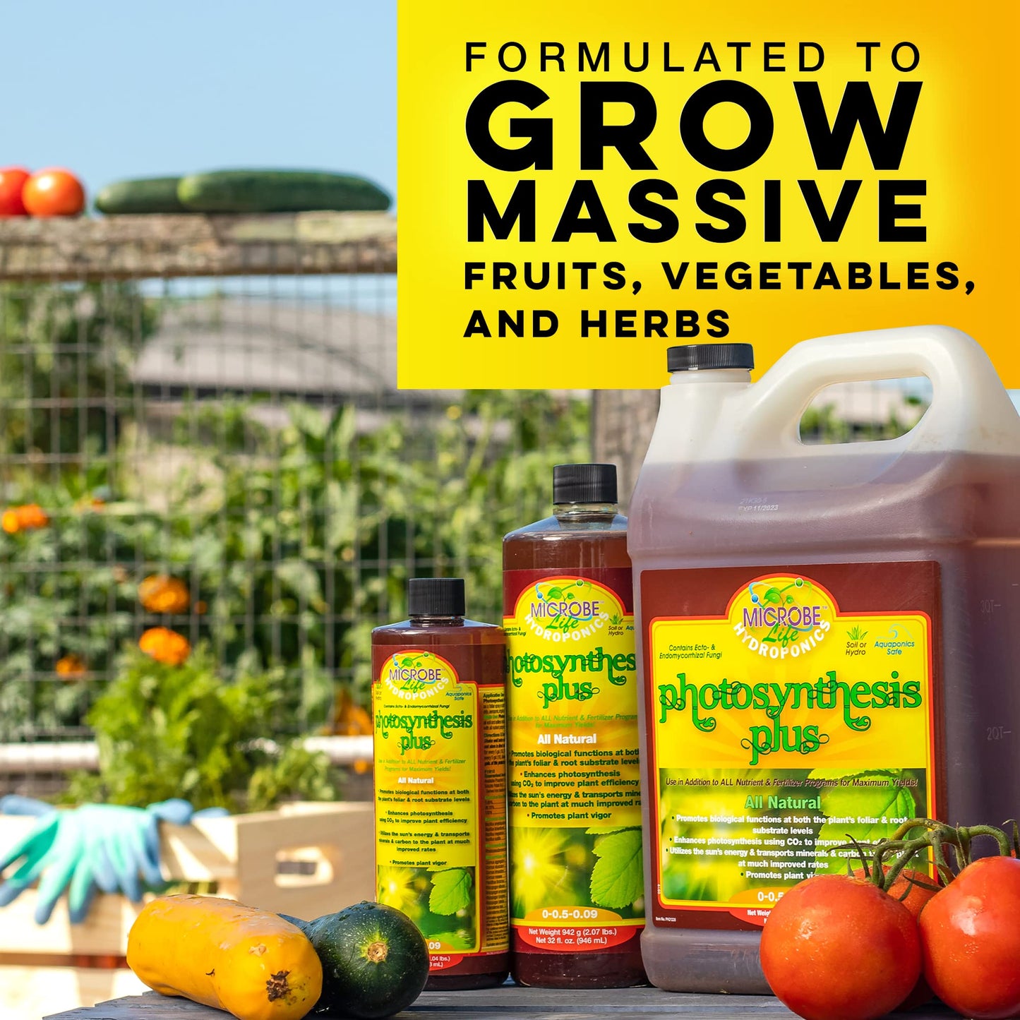 Microbe Life Hydroponics Premium Photosynthesis Plus to Grow Fruits, Vegetables, and Herbs, The Best Professional Big Bud Grow, Use with Any Feeding Systems Including Hydroponics or Soil, 1 Gallon
