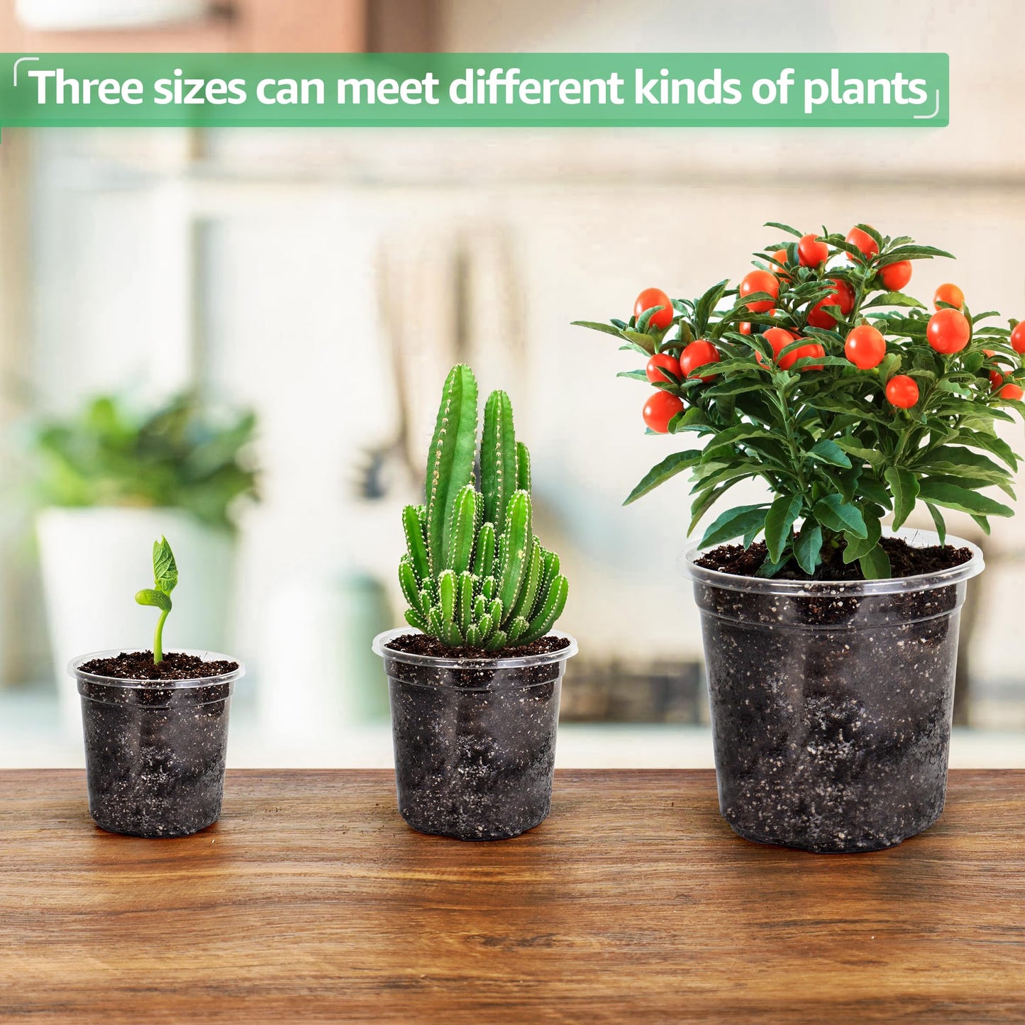 36 Packs 6.7/5/4/3.5 Inch Reinforced Clear Nursery Pots with Drainage Hole, Transparent Variety Pack Plastic Plant Pot Seedling Planter Seed Starter Flower