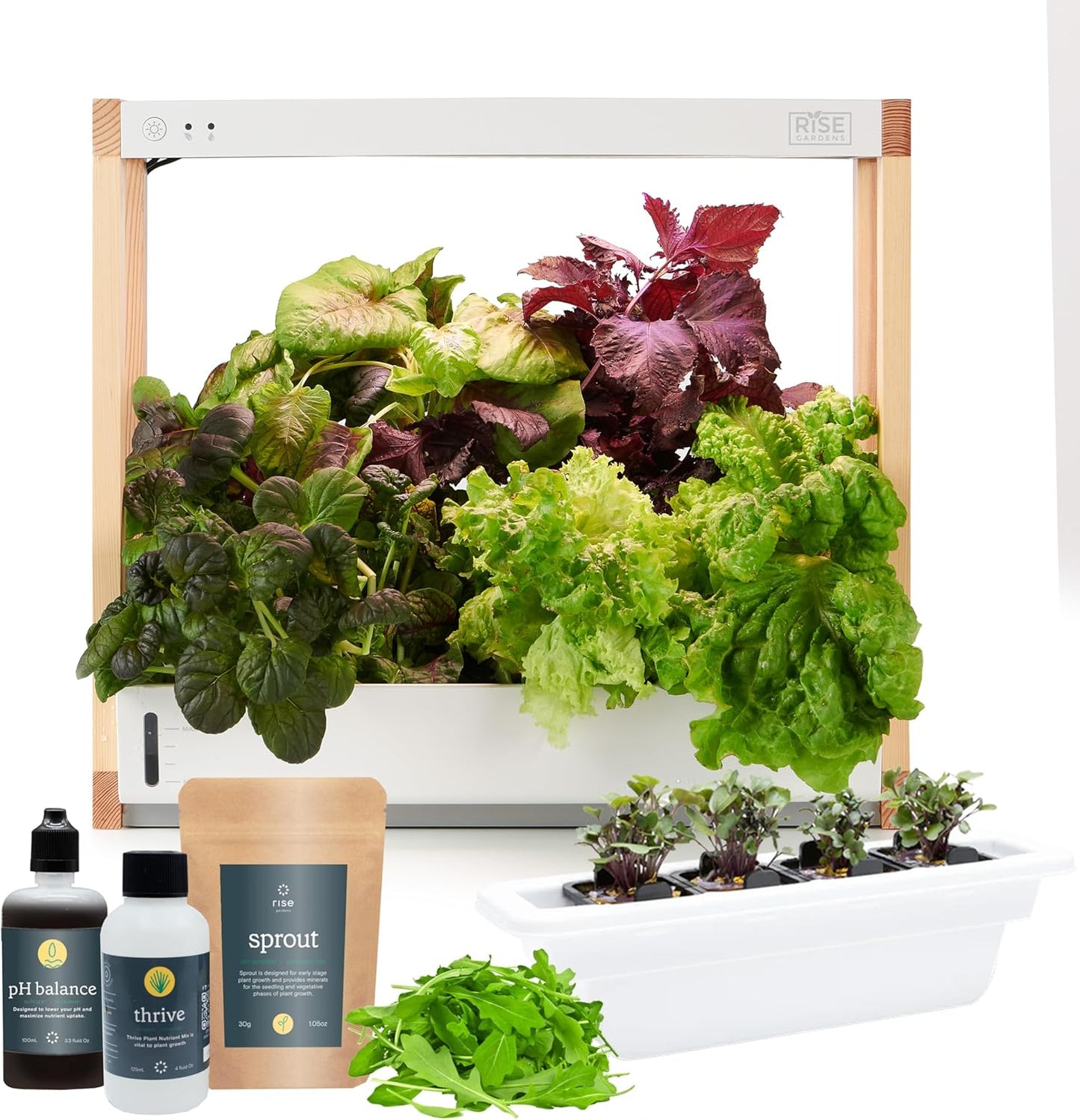 Rise Gardens Personal Rise Garden Hydroponic Indoor Garden Kit with LED Grow Light, Countertop Size