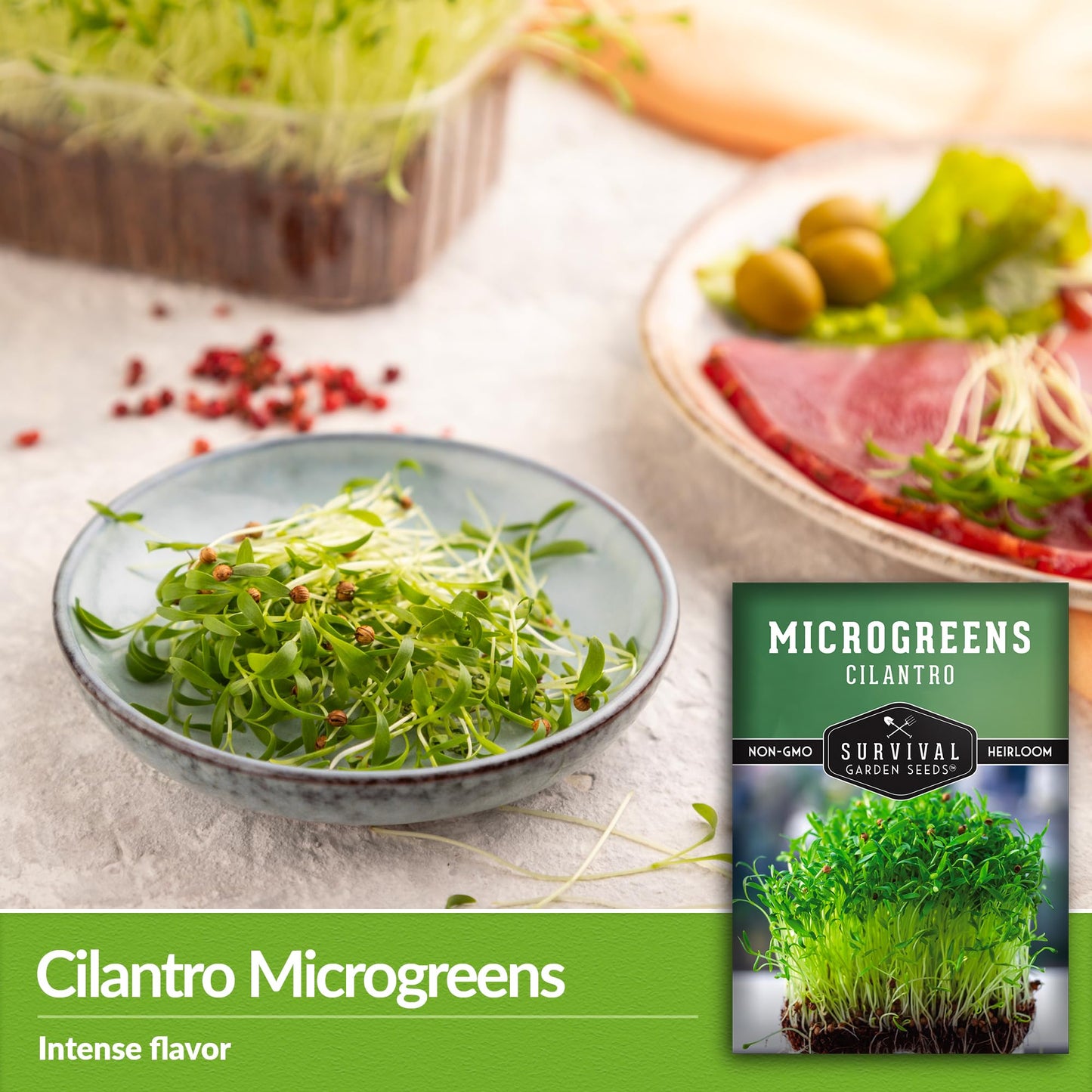 1 Pack Cilantro Microgreens Seeds for Sprouting and Growing - Sprout Green Leafy Micro Herb Plants Indoors - Grow A Mini Windowsill Garden with Micro Herb Seeds - Non-GMO Heirloom Micro Seeds