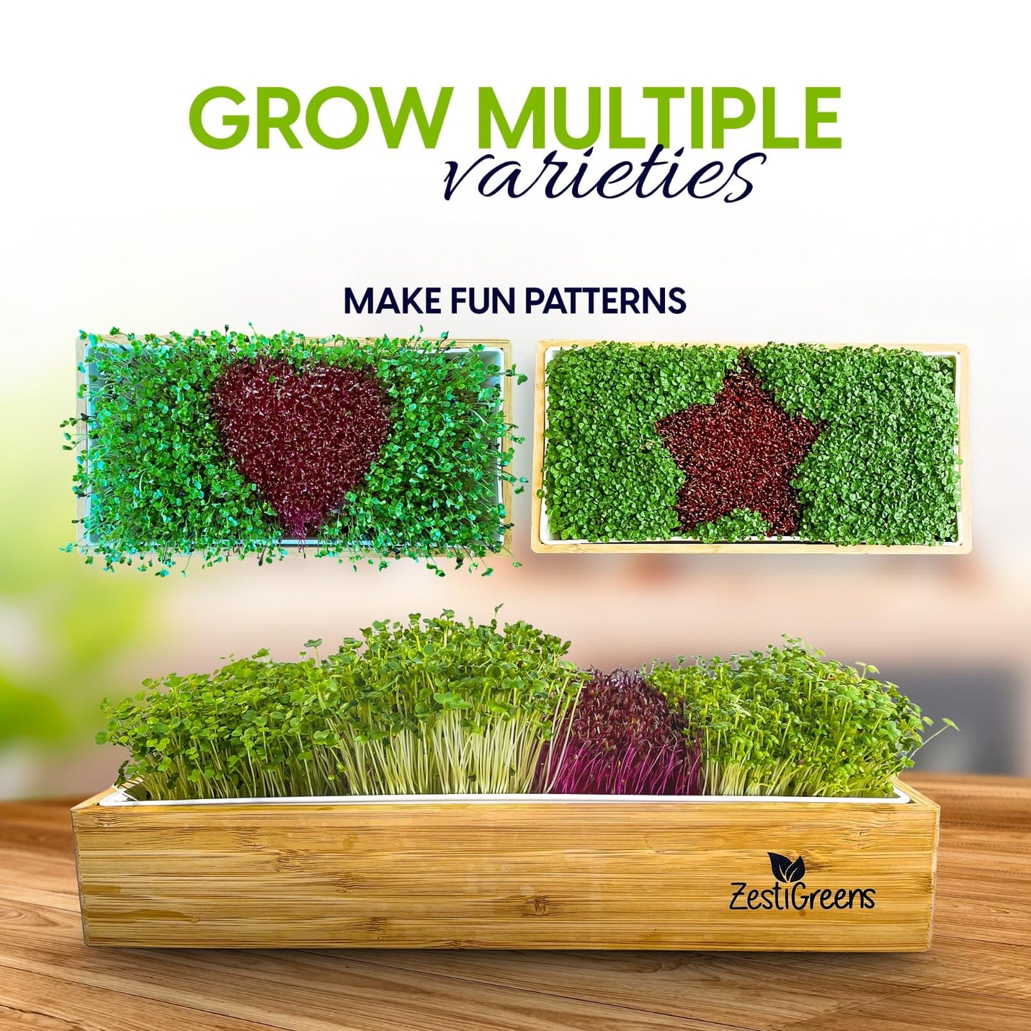Self Watering Microgreens Growing Kit. Hands Down the Easiest Way to Grow Microgreens. Includes Microgreens Tray, Seeds, Mats, and Bamboo Surround. No Soil Needed. Easy Setup. (Salad & Broccoli)