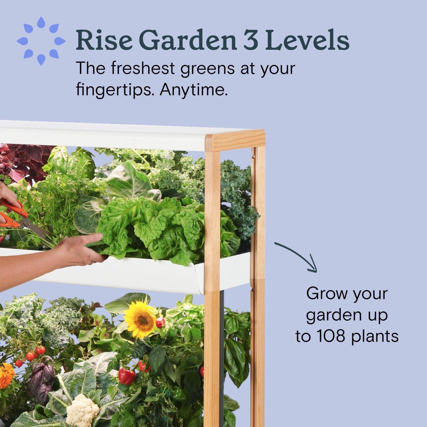 Rise Gardens 3 Level Garden Hydroponic Indoor Garden Kit with LED Grow Light, Cloud Color