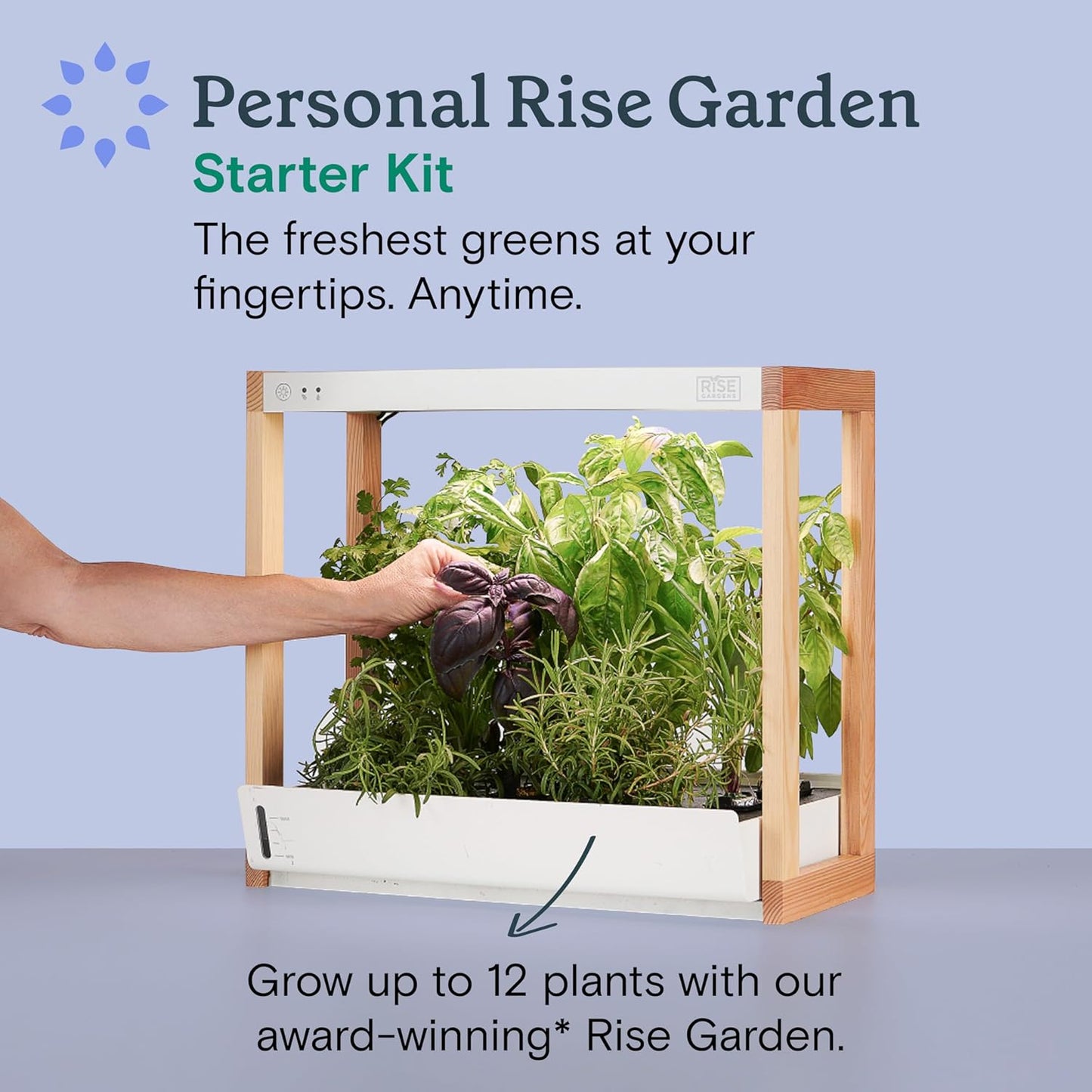 Rise Gardens Personal Rise Garden Hydroponic Indoor Garden Kit with LED Grow Light, Countertop Size
