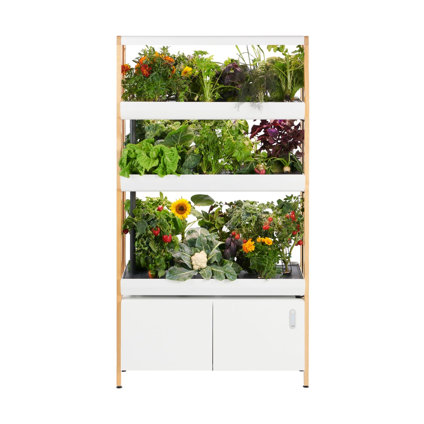 Rise Gardens 3 Level Garden Hydroponic Indoor Garden Kit with LED Grow Light, Cloud Color