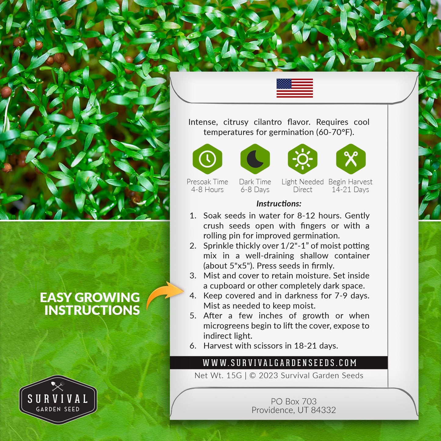 1 Pack Cilantro Microgreens Seeds for Sprouting and Growing - Sprout Green Leafy Micro Herb Plants Indoors - Grow A Mini Windowsill Garden with Micro Herb Seeds - Non-GMO Heirloom Micro Seeds