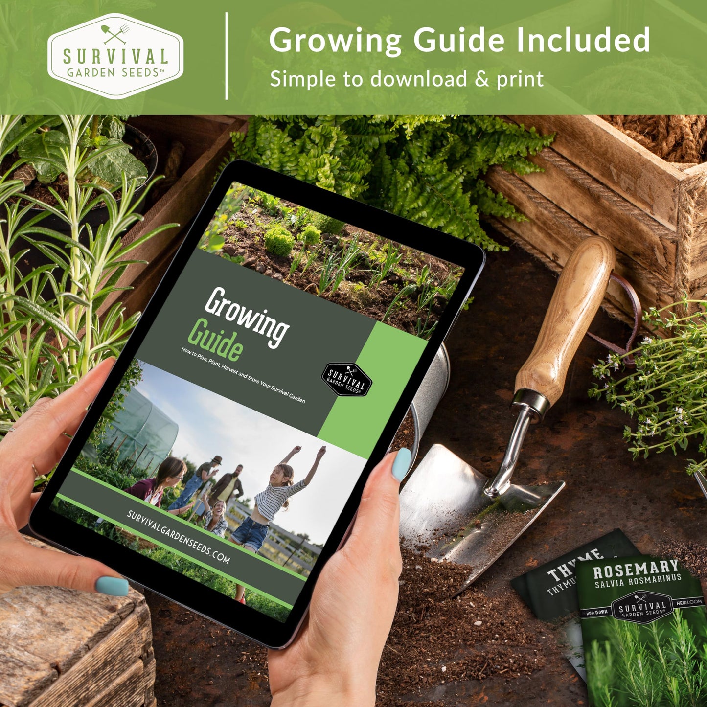 Survival Garden Seeds Microgreens 5 Pack (Seeds Only) - Plant, Sprout, and Grow a Mix of Microgreen Plants in Your Kitchen or on Your Windowsill - Arugula, Broccoli, Radish, Pea, Sunflower Seed
