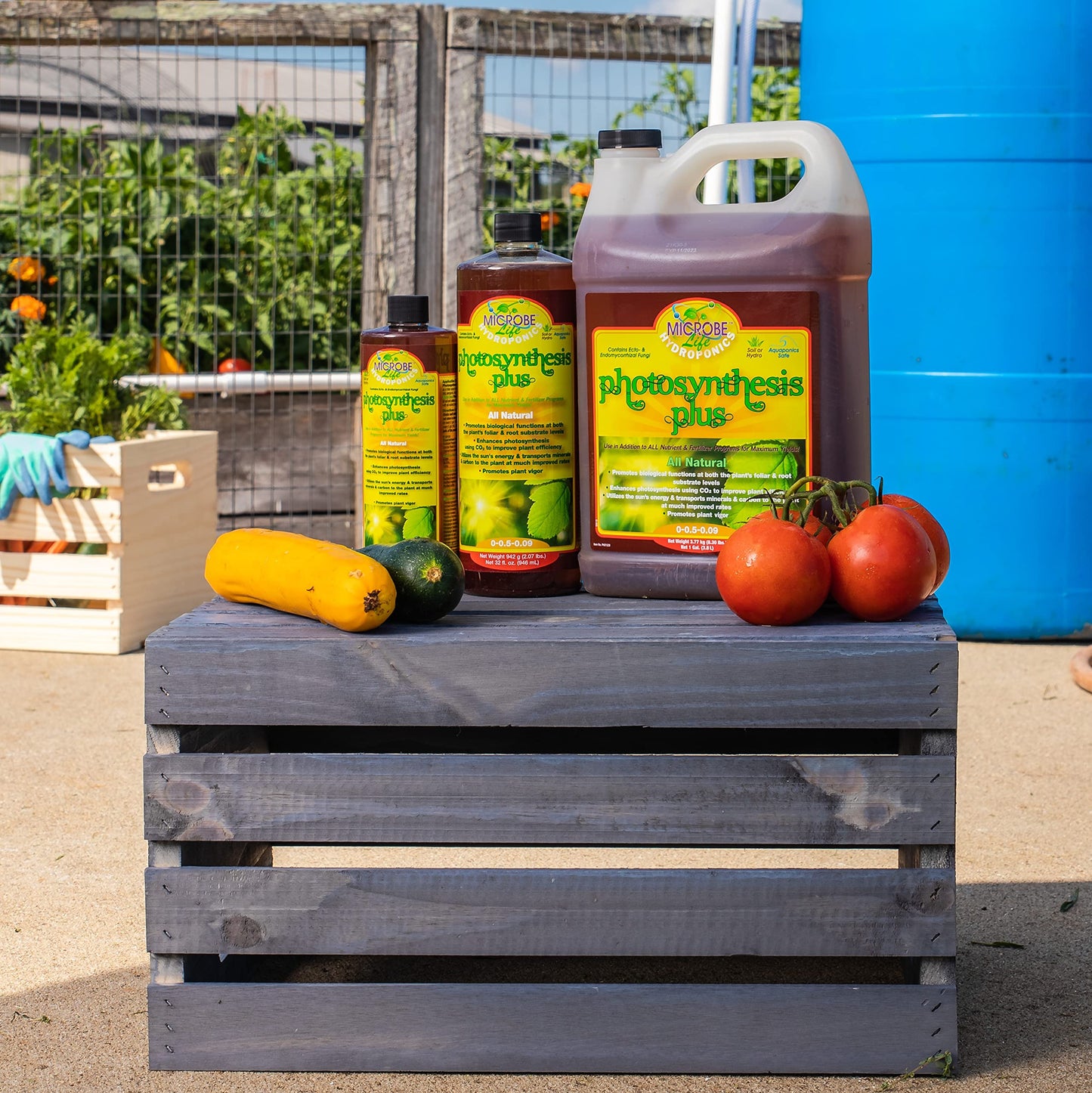 Microbe Life Hydroponics Premium Photosynthesis Plus to Grow Fruits, Vegetables, and Herbs, The Best Professional Big Bud Grow, Use with Any Feeding Systems Including Hydroponics or Soil, 1 Gallon