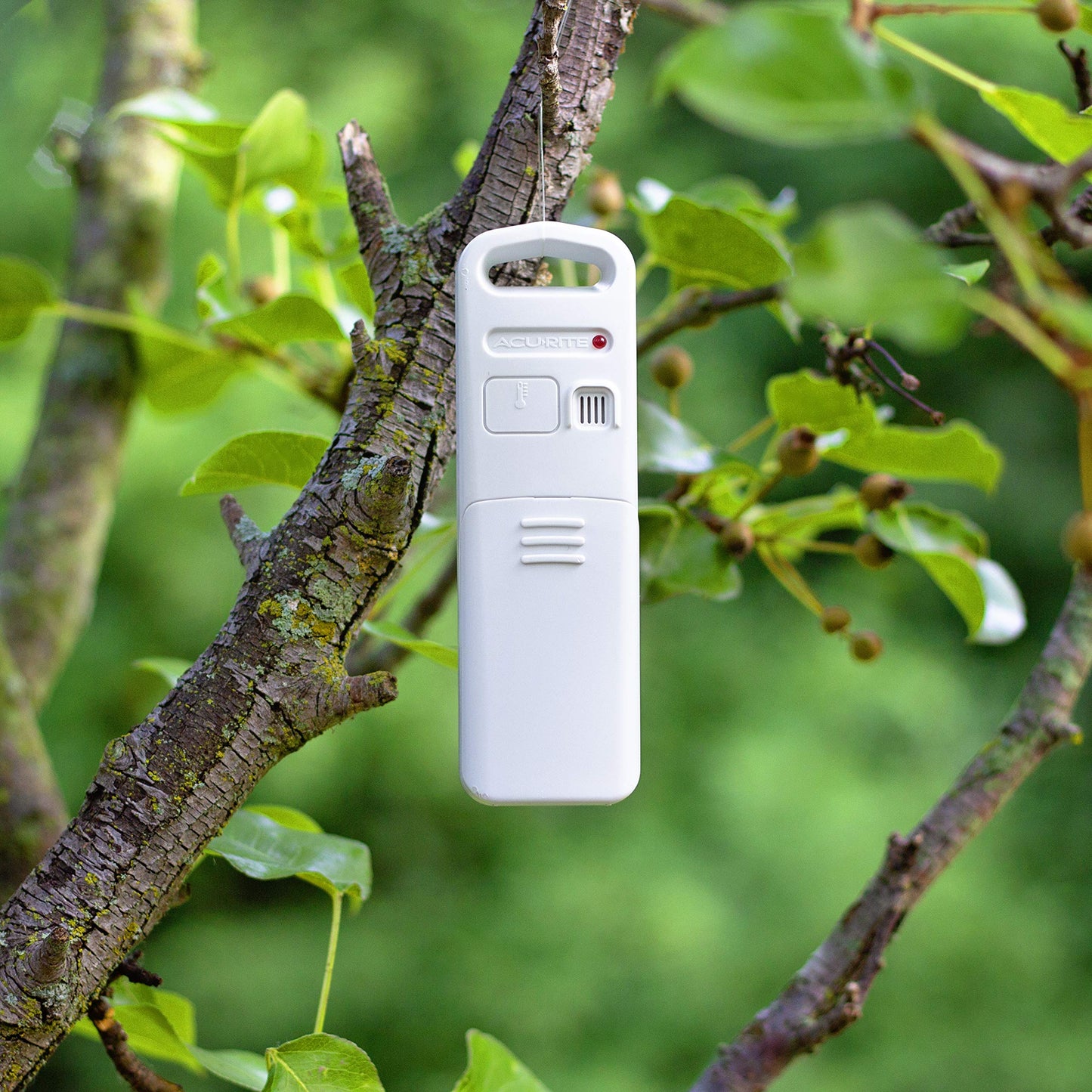 Digital Vertical Weather Forecaster with Indoor/Outdoor Temperature, Humidity, and Date and Time