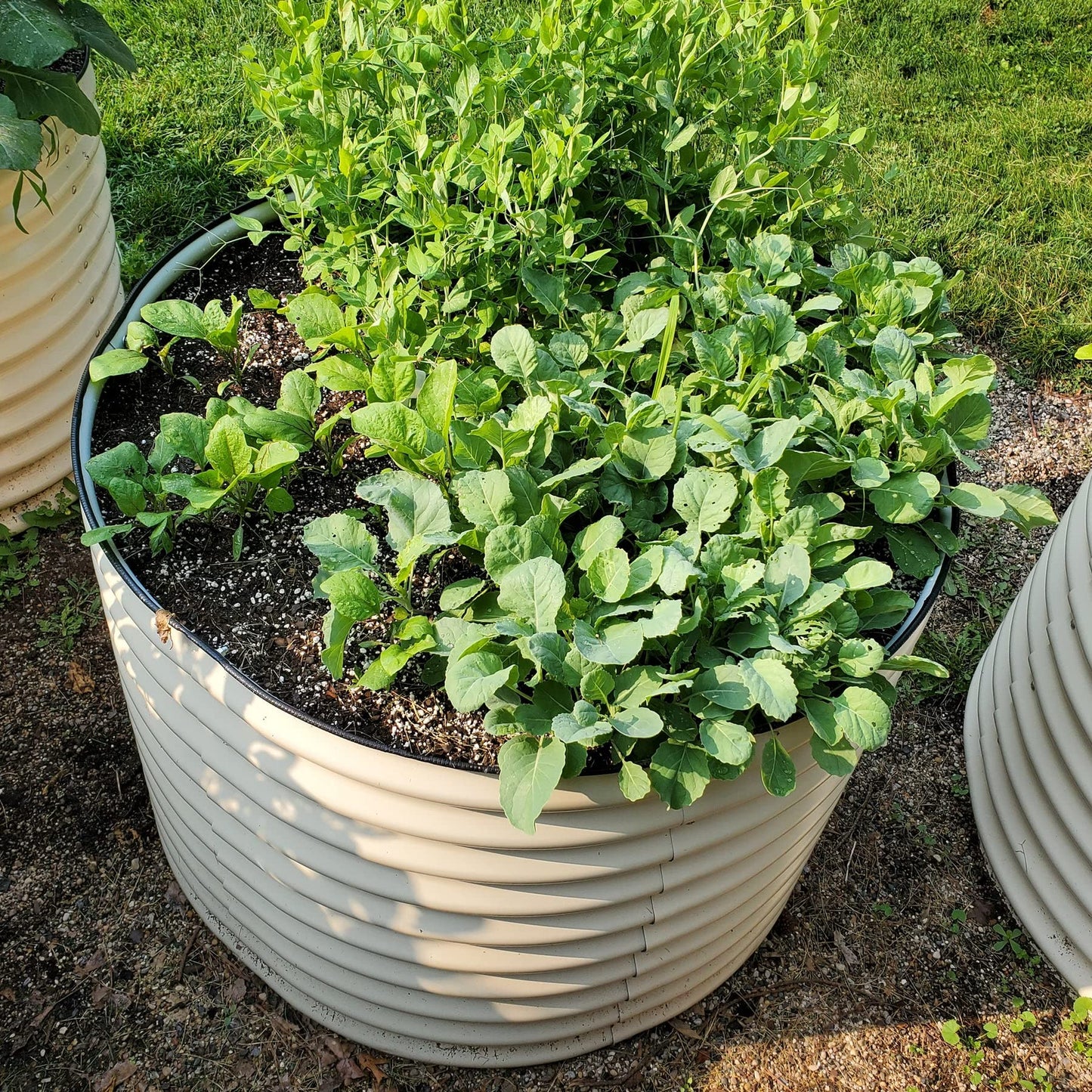 Vego garden 32" Extra Tall Raised Garden Bed Kits, 9 in 1 Modular Raised Planter Box for Vegetables Flowers Fruits Oval Metal Raised Garden Bed- Olive Green
