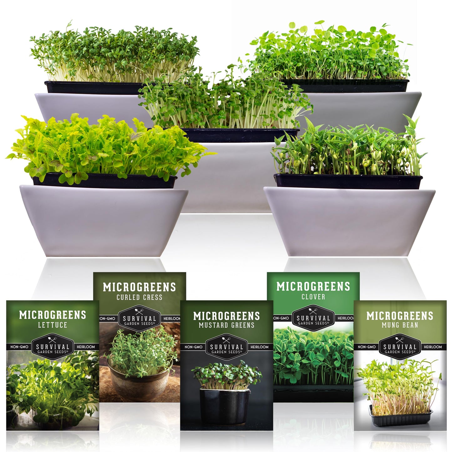 Survival Garden Seeds Microgreens 5 Pack (Seeds Only) - Plant, Sprout, and Grow a Mix of Microgreen Plants in Your Kitchen or on Your Windowsill - Arugula, Broccoli, Radish, Pea, Sunflower Seed