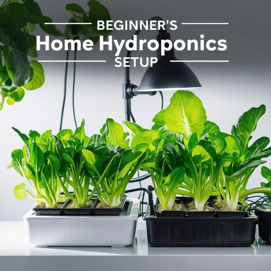 Our Green Oasis Awaits: Beginner-Friendly Hydroponic Setups