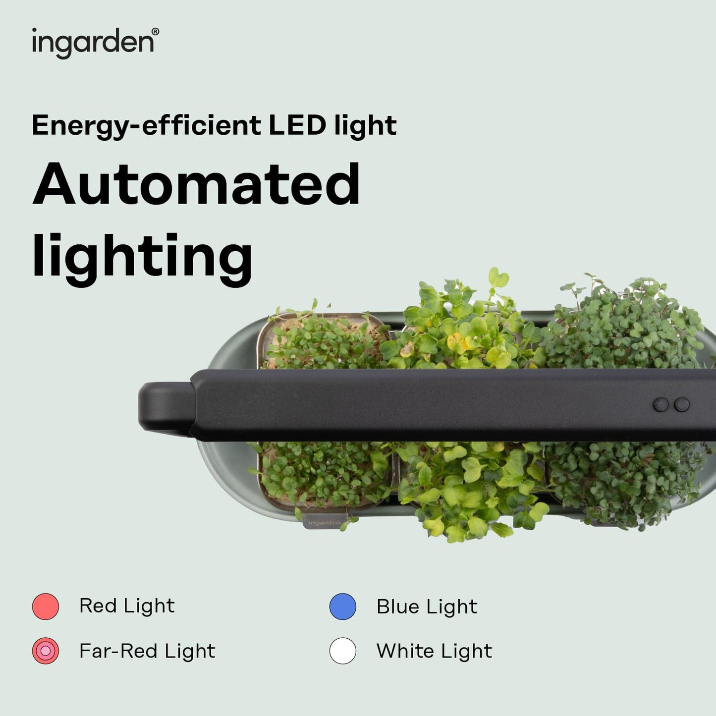 Microgreens Growing Kit - Organic Superfood Sprouting Seed Pads (3) | Auto 4-Stage LED Grow Lights & Hydroponic Watering System | Chic Steel Frame & Ceramic Bowl, Plastic-Free [Beige]