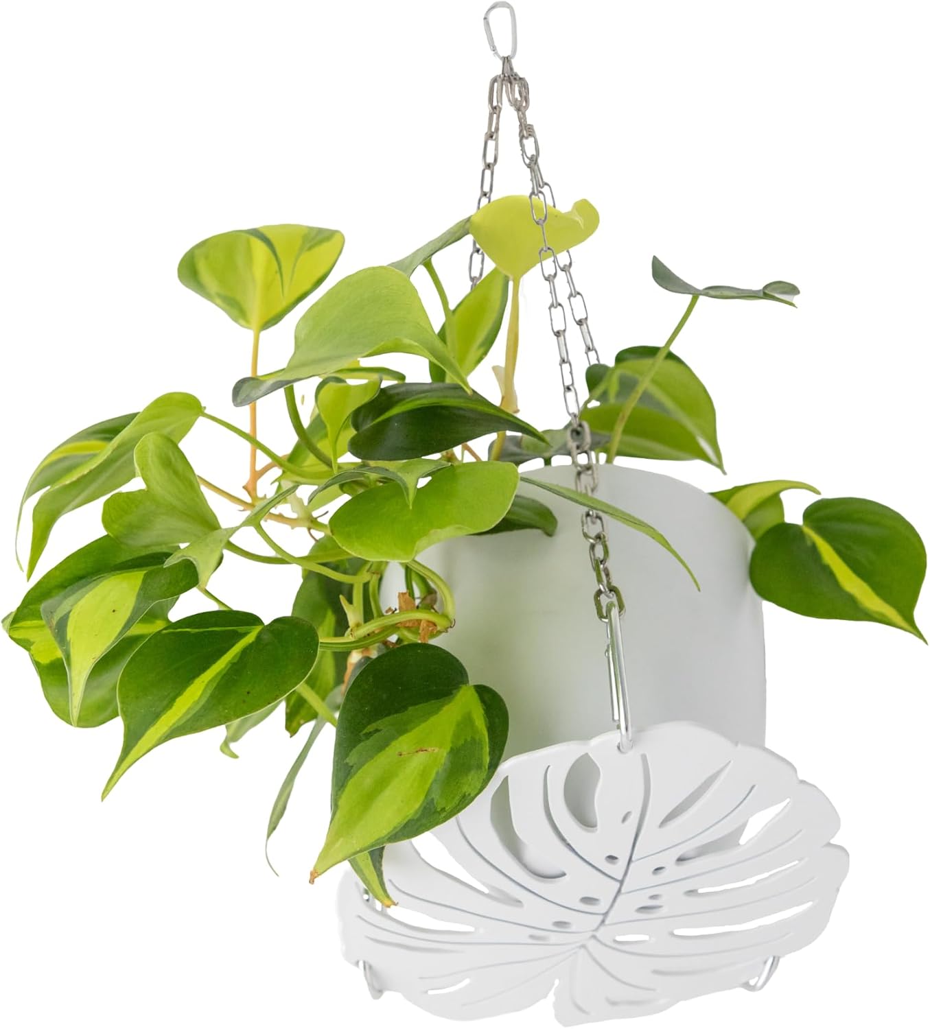 Plant Hanger - Chic White Metal Hanging Planter for Indoor Plants - Monstera Décor - Lasercut Powdercoated Steel - Unique Botanical Design - Elevate Your Jungle - White Base with Silver Chains