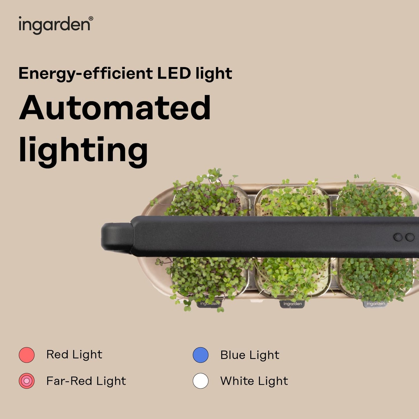 Microgreens Growing Kit - Organic Superfood Sprouting Seed Pads (3) | Auto 4-Stage LED Grow Lights & Hydroponic Watering System | Chic Steel Frame & Ceramic Bowl, Plastic-Free [Beige]