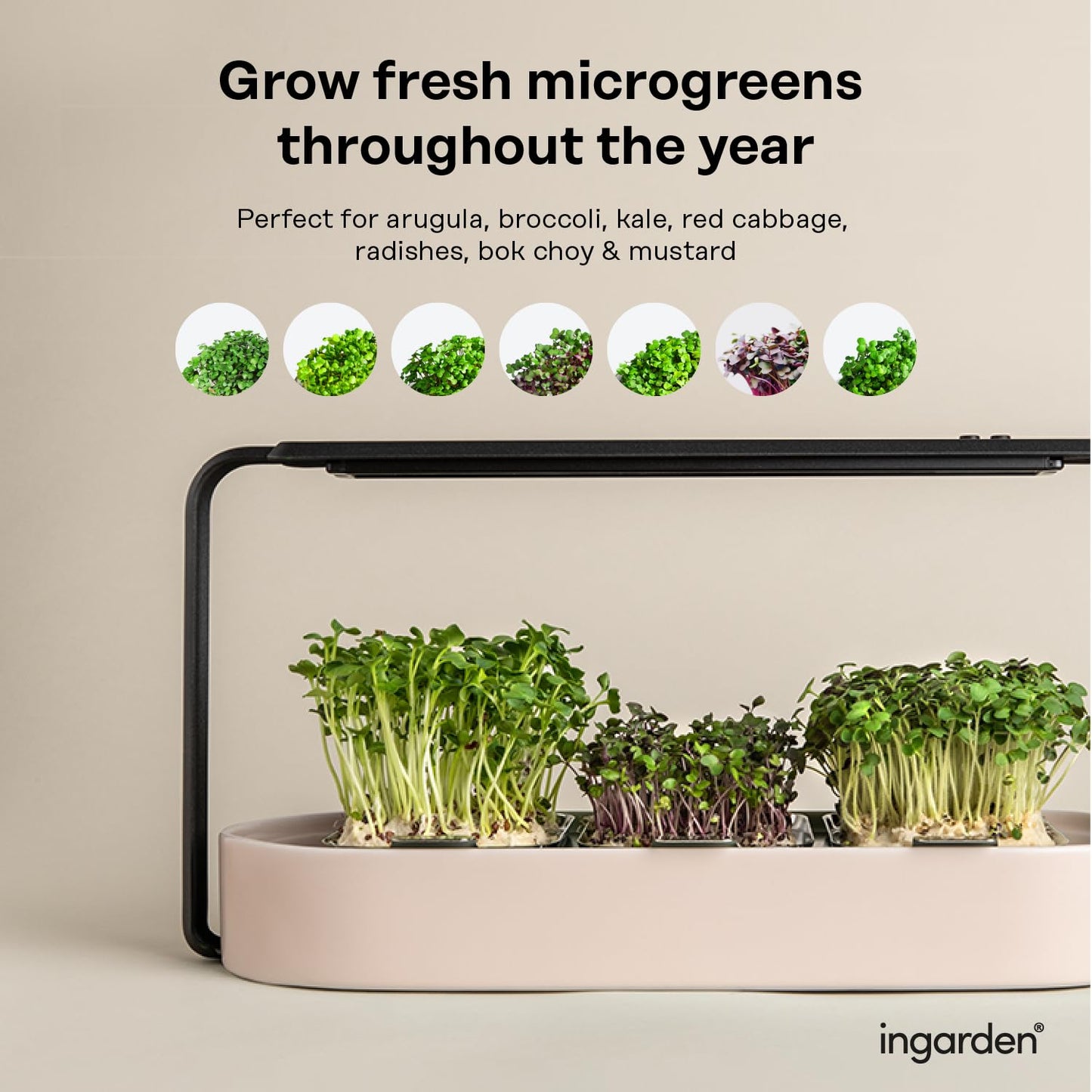 Microgreens Growing Kit - Organic Superfood Sprouting Seed Pads (3) | Auto 4-Stage LED Grow Lights & Hydroponic Watering System | Chic Steel Frame & Ceramic Bowl, Plastic-Free [Beige]