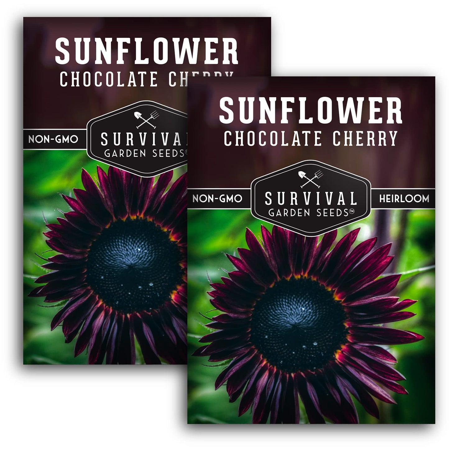 Survival Garden Seeds - Chocolate Cherry Sunflower Seed for Planting - Packet with Instructions to Plant & Grow Burgundy Sunflowers in Your Vegetable & Flower Garden - Non-GMO Heirloom Variety