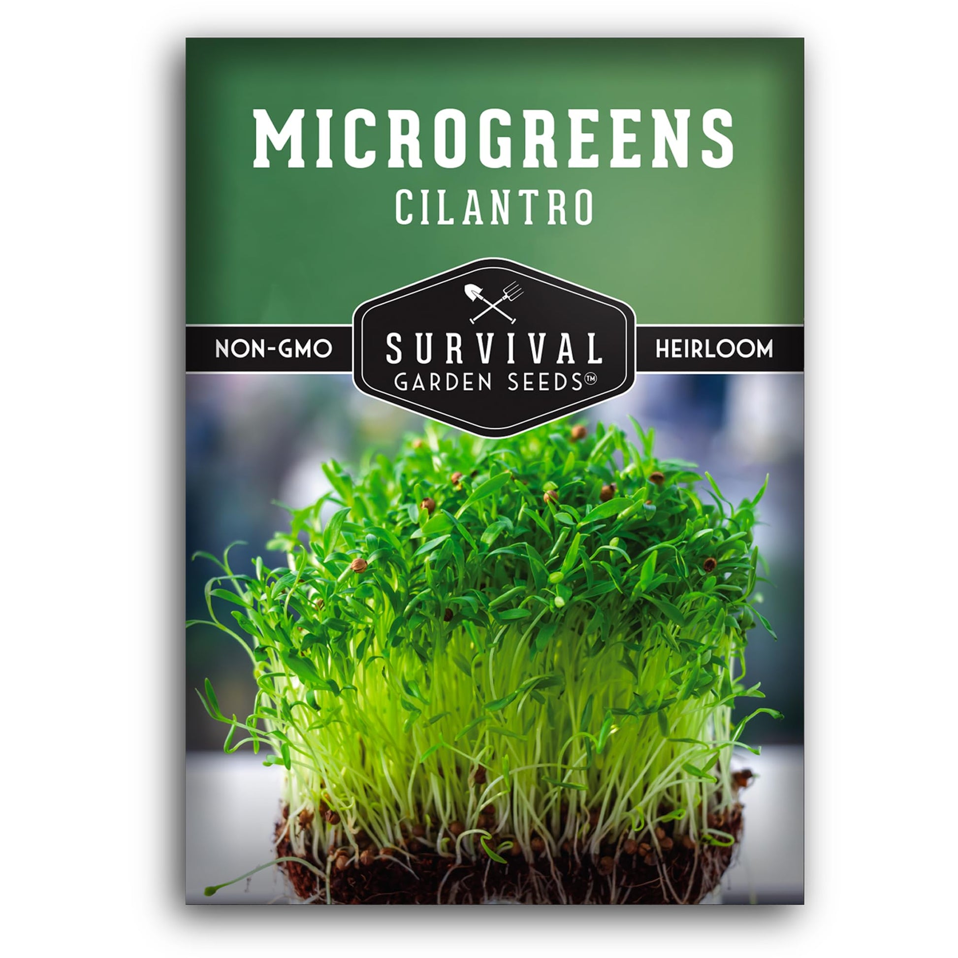 Microgreens Cilantro