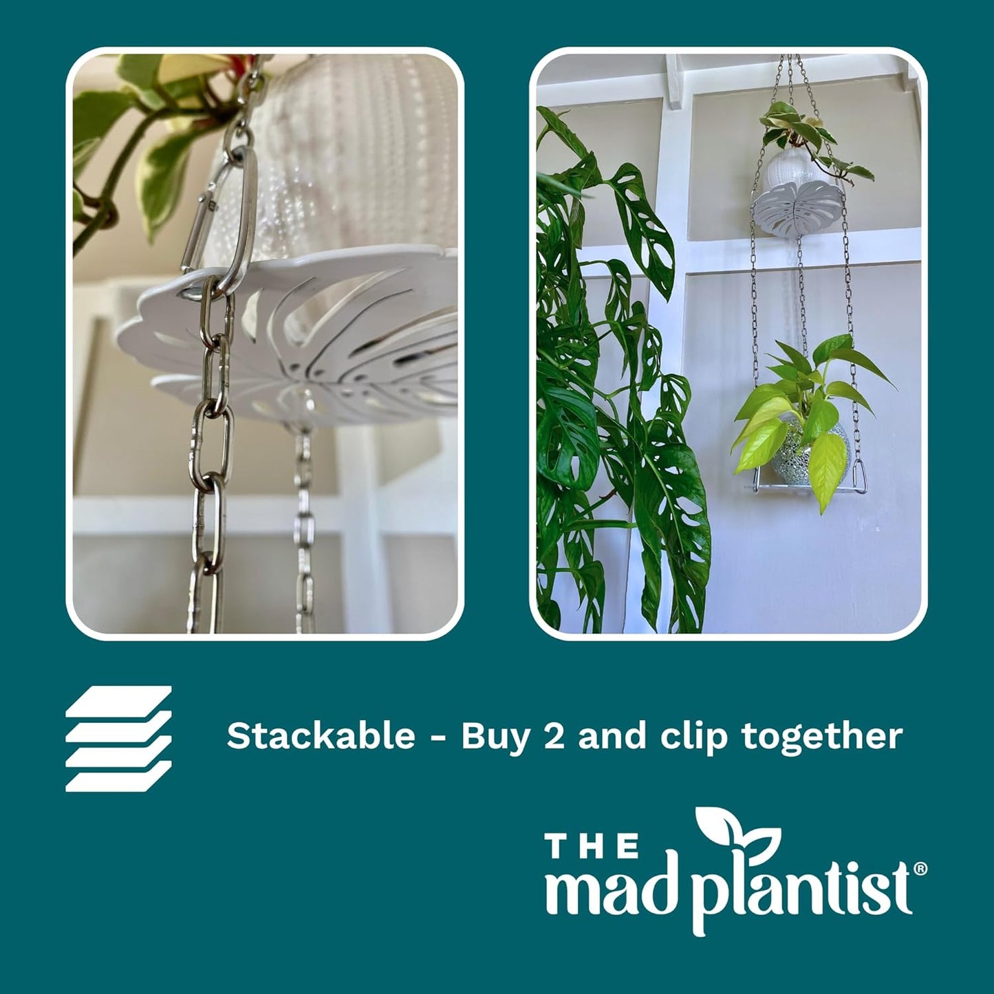 Plant Hanger - Chic White Metal Hanging Planter for Indoor Plants - Monstera Décor - Lasercut Powdercoated Steel - Unique Botanical Design - Elevate Your Jungle - White Base with Silver Chains