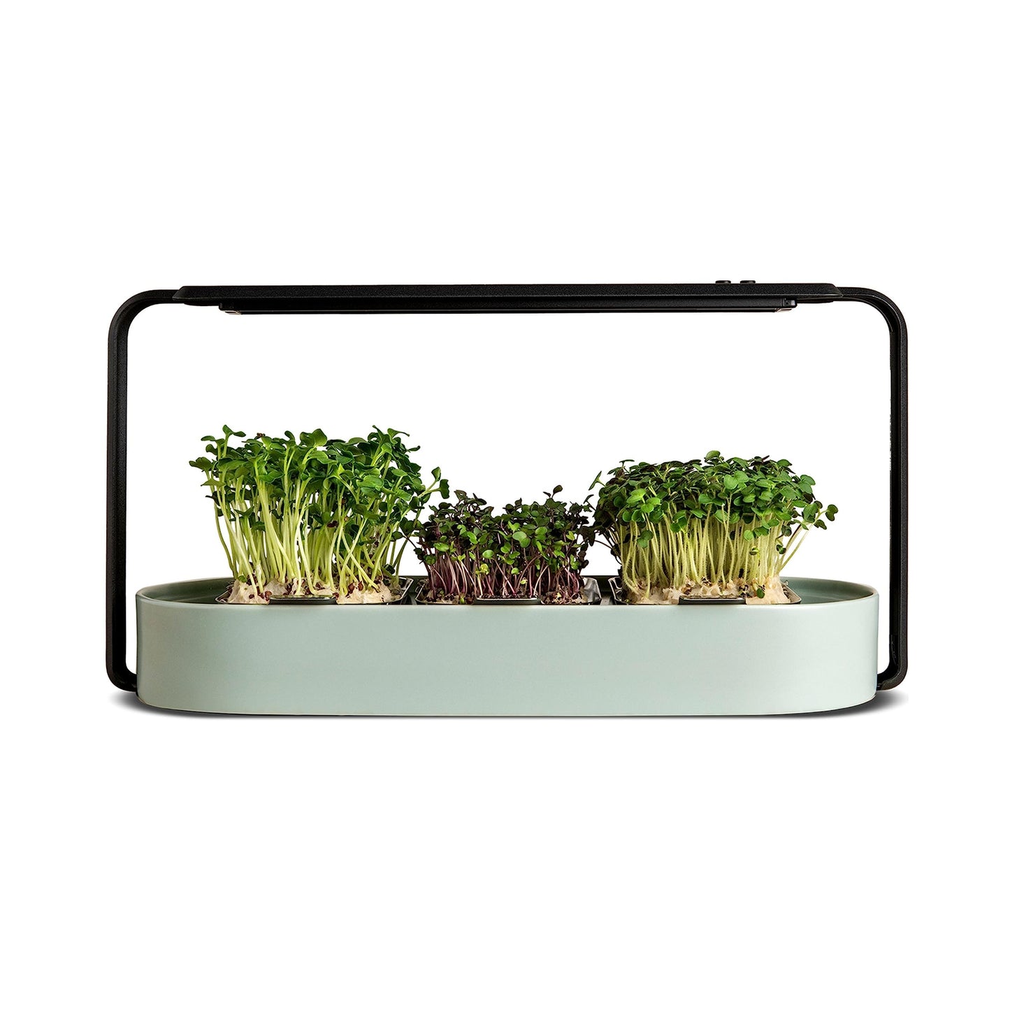 Microgreens Growing Kit - Organic Superfood Sprouting Seed Pads (3) | Auto 4-Stage LED Grow Lights & Hydroponic Watering System | Chic Steel Frame & Ceramic Bowl, Plastic-Free [Beige]