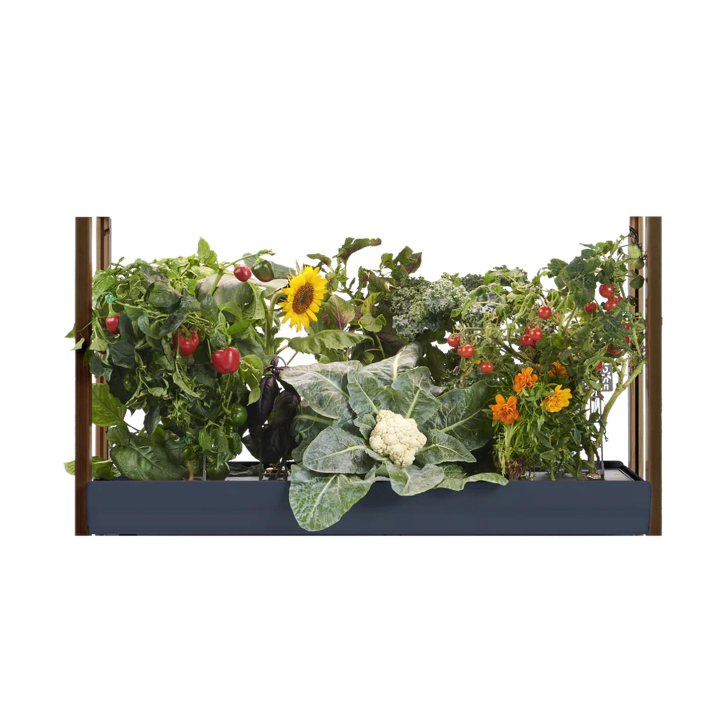 Rise Gardens The Rise Extension, Compatible with The Rise Garden Hydroponic Indoor Garden Kit, Cloud Color