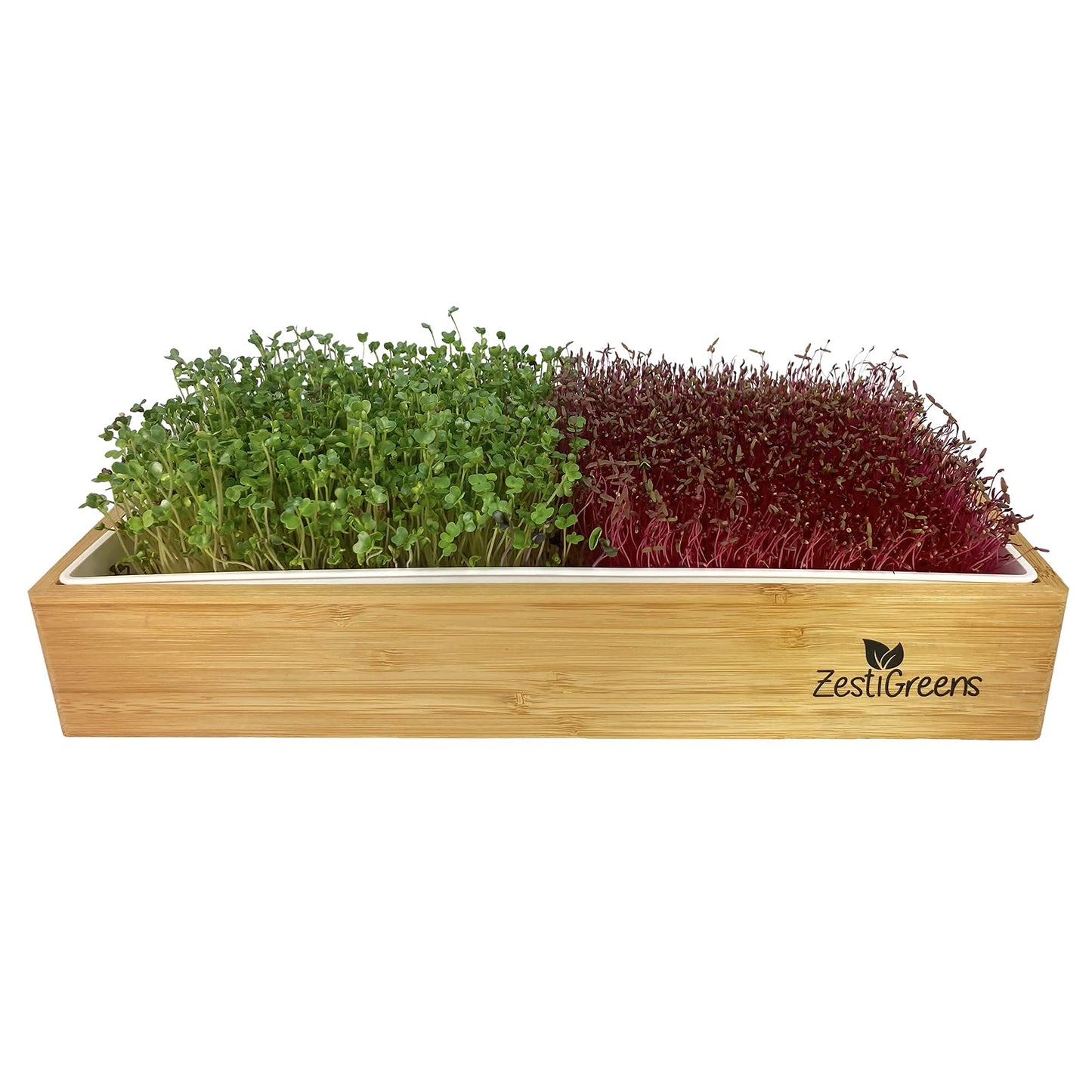 Self Watering Microgreens Growing Kit. Hands Down the Easiest Way to Grow Microgreens. Includes Microgreens Tray, Seeds, Mats, and Bamboo Surround. No Soil Needed. Easy Setup. (Salad & Broccoli)