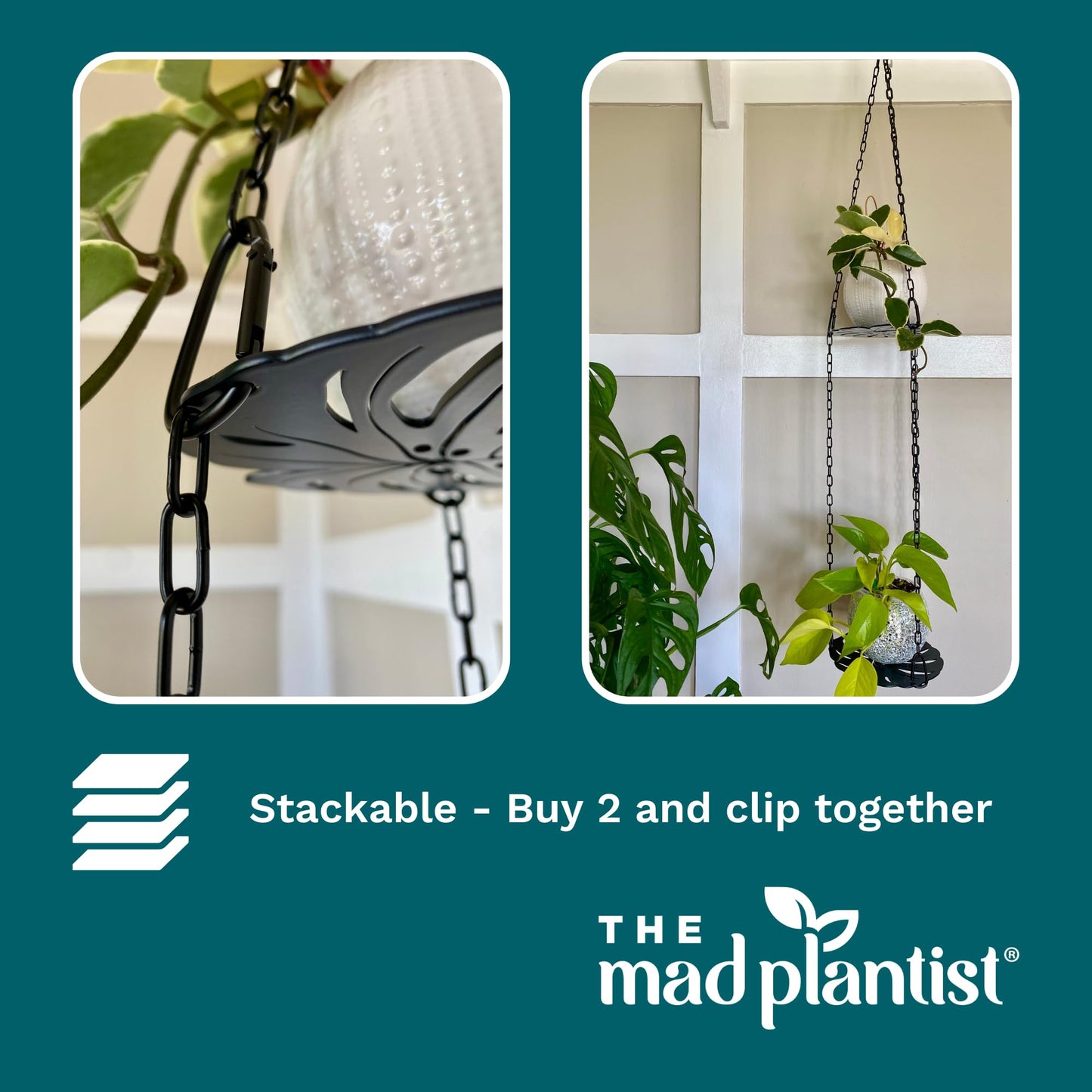 Plant Hanger - Chic Black Metal Hanging Planter for Indoor Plants - Monstera Décor - Lasercut Powdercoated Steel - Unique Botanical Design - Clear Your Benchtop - Elevate Your Jungle