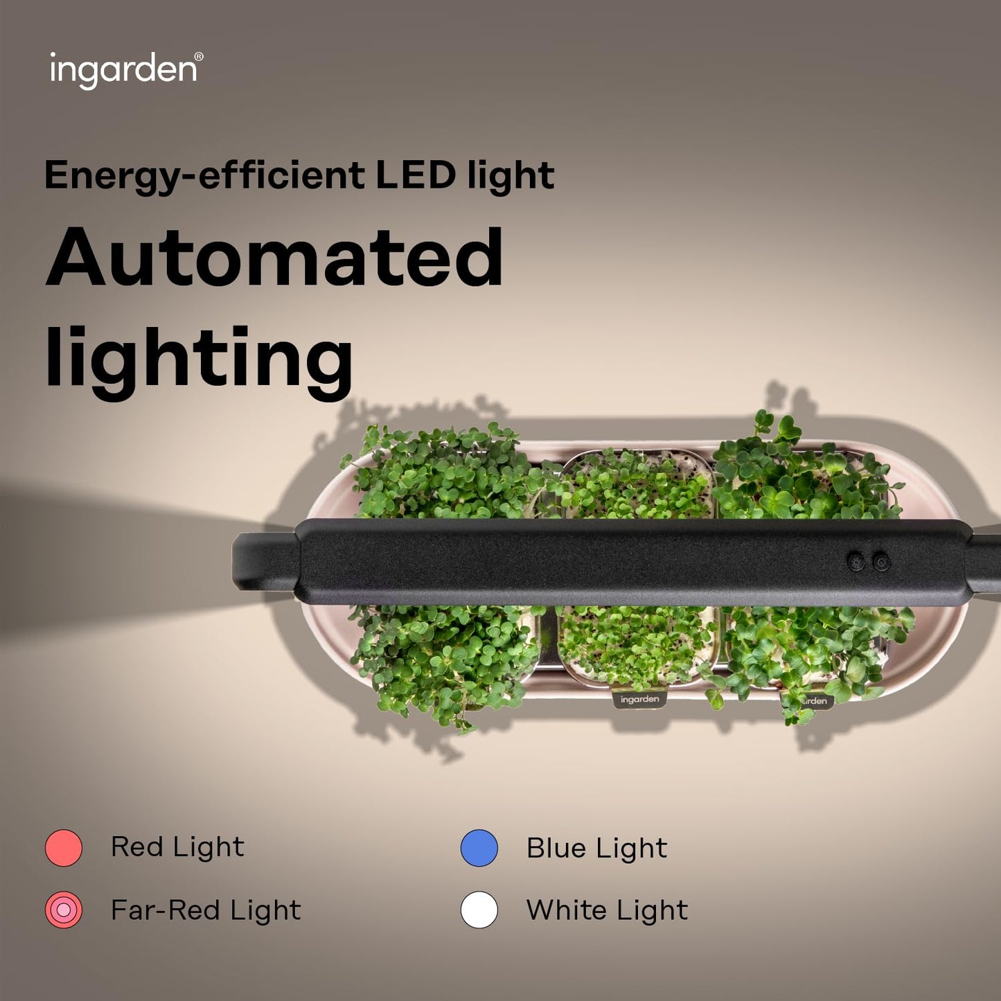 Microgreens Growing Kit - Organic Superfood Sprouting Seed Pads (3) | Auto 4-Stage LED Grow Lights & Hydroponic Watering System | Chic Steel Frame & Ceramic Bowl, Plastic-Free [Beige]