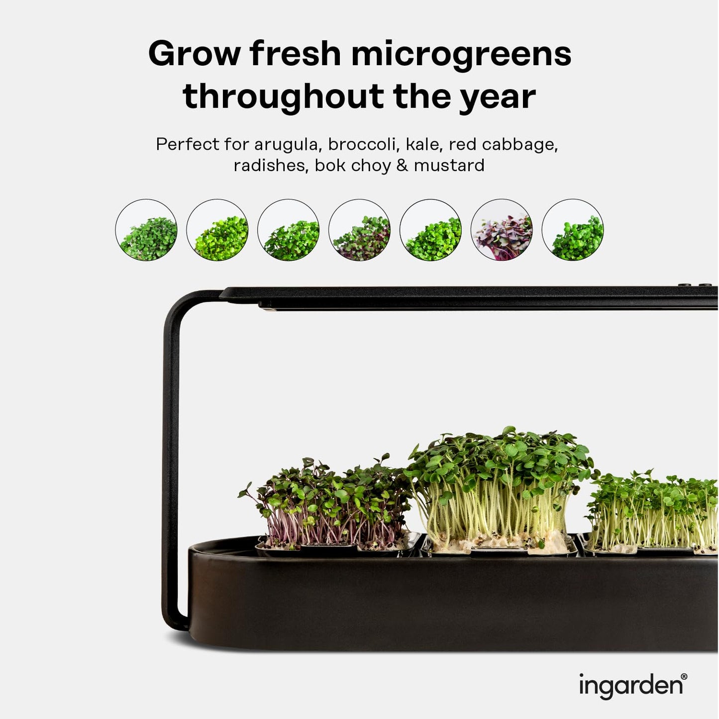 Microgreens Growing Kit - Organic Superfood Sprouting Seed Pads (3) | Auto 4-Stage LED Grow Lights & Hydroponic Watering System | Chic Steel Frame & Ceramic Bowl, Plastic-Free [Beige]