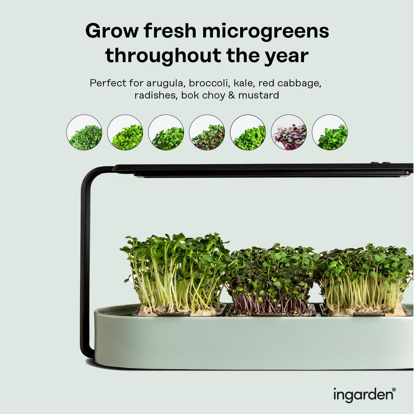 Microgreens Growing Kit - Organic Superfood Sprouting Seed Pads (3) | Auto 4-Stage LED Grow Lights & Hydroponic Watering System | Chic Steel Frame & Ceramic Bowl, Plastic-Free [Beige]