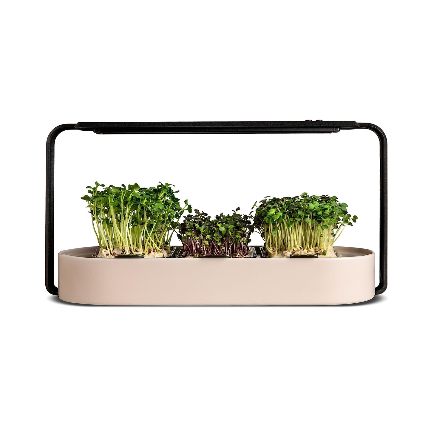 Microgreens Growing Kit - Organic Superfood Sprouting Seed Pads (3) | Auto 4-Stage LED Grow Lights & Hydroponic Watering System | Chic Steel Frame & Ceramic Bowl, Plastic-Free [Beige]