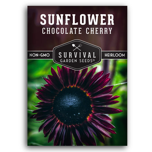 Survival Garden Seeds - Chocolate Cherry Sunflower Seed for Planting - Packet with Instructions to Plant & Grow Burgundy Sunflowers in Your Vegetable & Flower Garden - Non-GMO Heirloom Variety