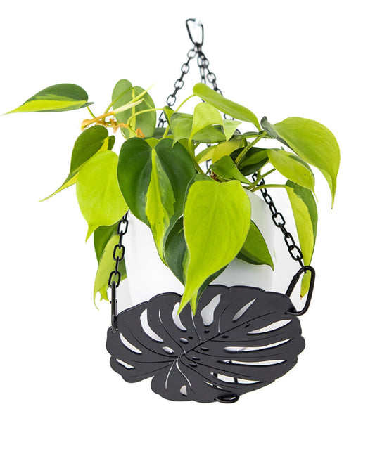 Plant Hanger - Chic Black Metal Hanging Planter for Indoor Plants - Monstera Décor - Lasercut Powdercoated Steel - Unique Botanical Design - Clear Your Benchtop - Elevate Your Jungle