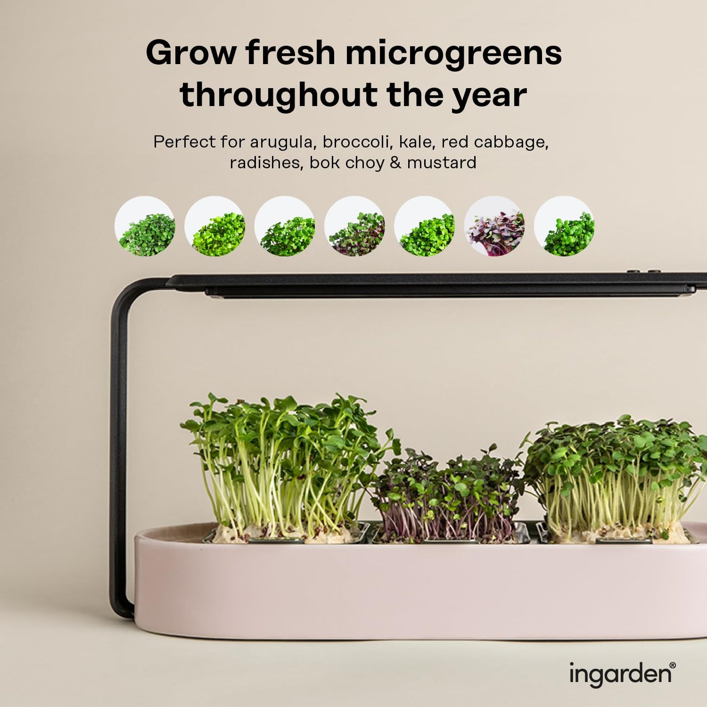 Microgreens Growing Kit - Organic Superfood Sprouting Seed Pads (3) | Auto 4-Stage LED Grow Lights & Hydroponic Watering System | Chic Steel Frame & Ceramic Bowl, Plastic-Free [Beige]