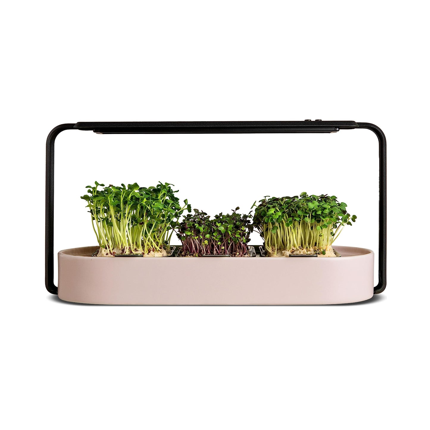 Microgreens Growing Kit - Organic Superfood Sprouting Seed Pads (3) | Auto 4-Stage LED Grow Lights & Hydroponic Watering System | Chic Steel Frame & Ceramic Bowl, Plastic-Free [Beige]