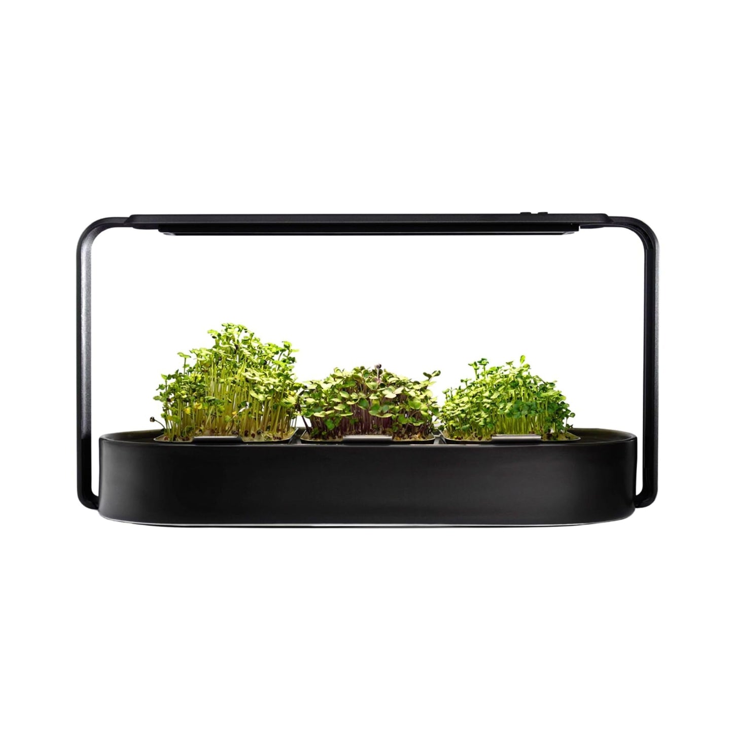 Microgreens Growing Kit - Organic Superfood Sprouting Seed Pads (3) | Auto 4-Stage LED Grow Lights & Hydroponic Watering System | Chic Steel Frame & Ceramic Bowl, Plastic-Free [Beige]