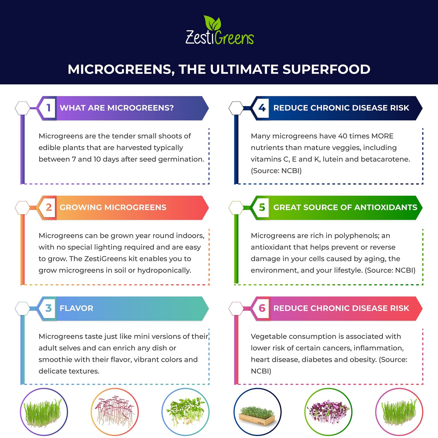 Self Watering Microgreens Growing Kit. Hands Down the Easiest Way to Grow Microgreens. Includes Microgreens Tray, Seeds, Mats, and Bamboo Surround. No Soil Needed. Easy Setup. (Salad & Broccoli)