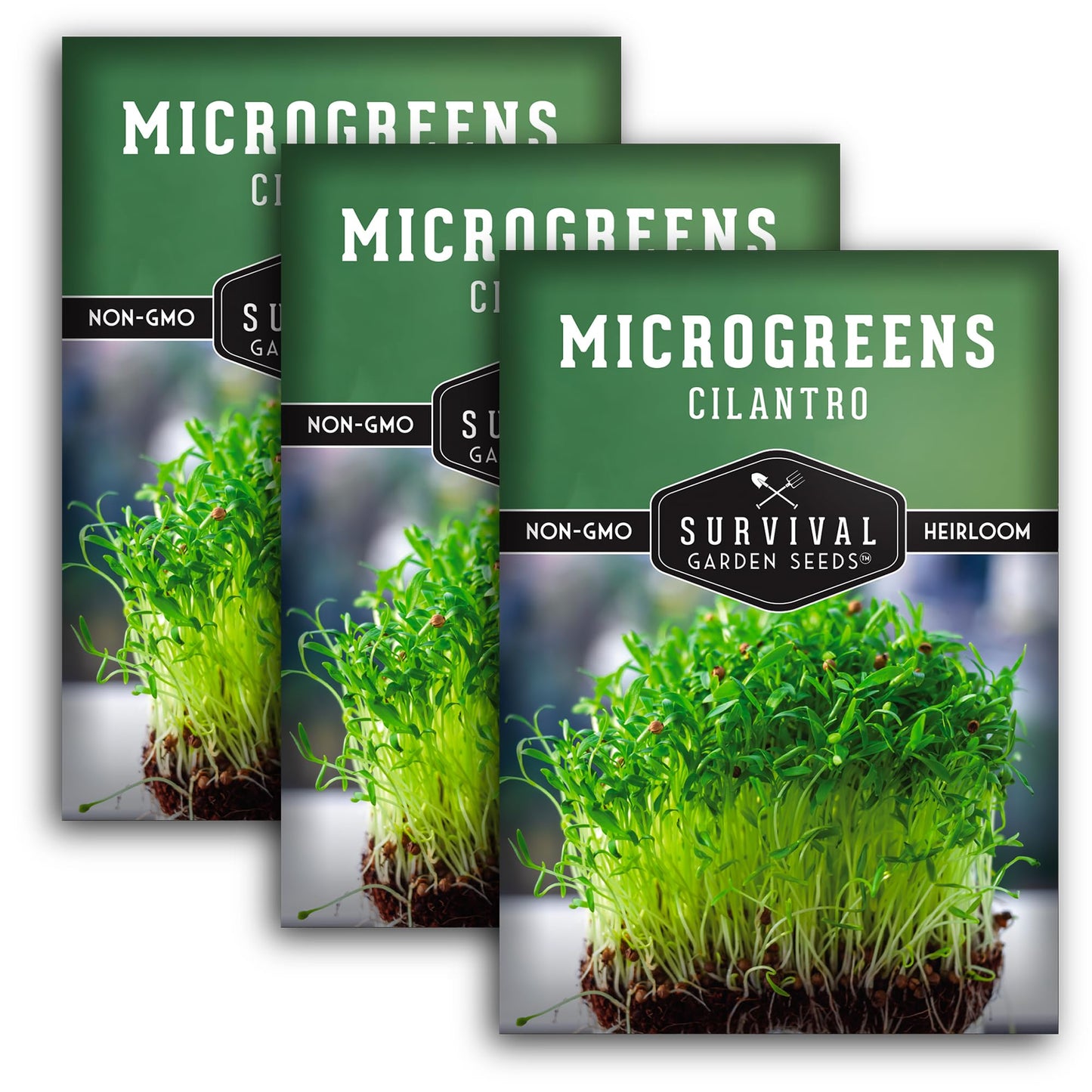 1 Pack Cilantro Microgreens Seeds for Sprouting and Growing - Sprout Green Leafy Micro Herb Plants Indoors - Grow A Mini Windowsill Garden with Micro Herb Seeds - Non-GMO Heirloom Micro Seeds