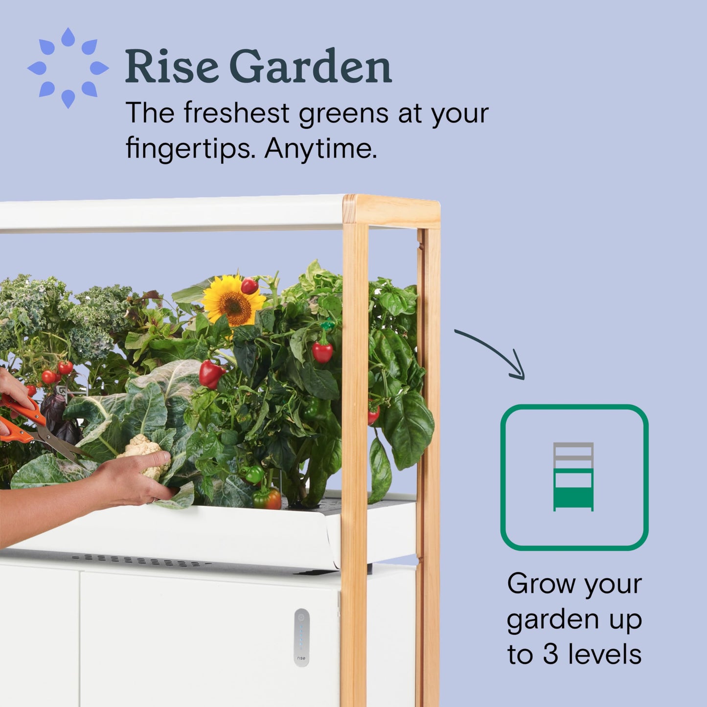 Rise Gardens 1 Level Garden | Hydroponics Growing System, Wi-Fi & App Controlled Indoor Garden with Growing Lights & Self-Watering System | Cloud