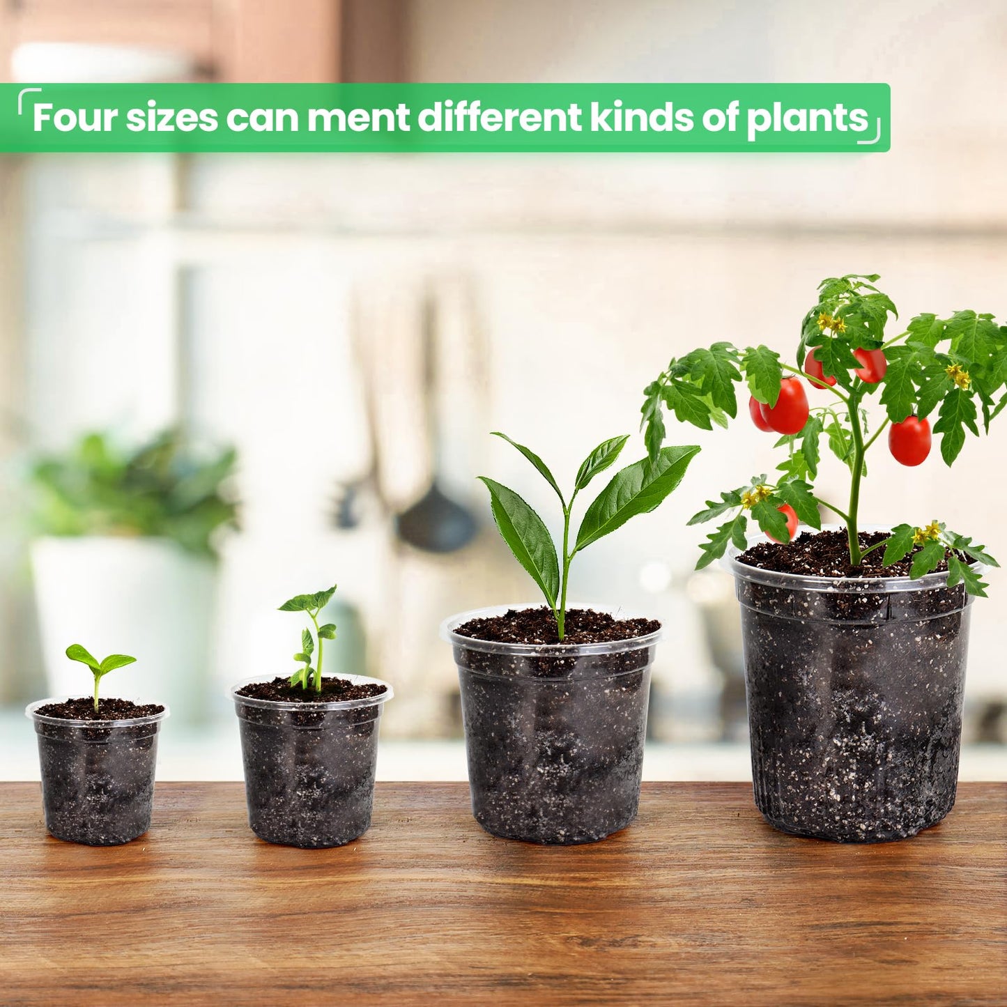 36 Packs 6.7/5/4/3.5 Inch Reinforced Clear Nursery Pots with Drainage Hole, Transparent Variety Pack Plastic Plant Pot Seedling Planter Seed Starter Flower