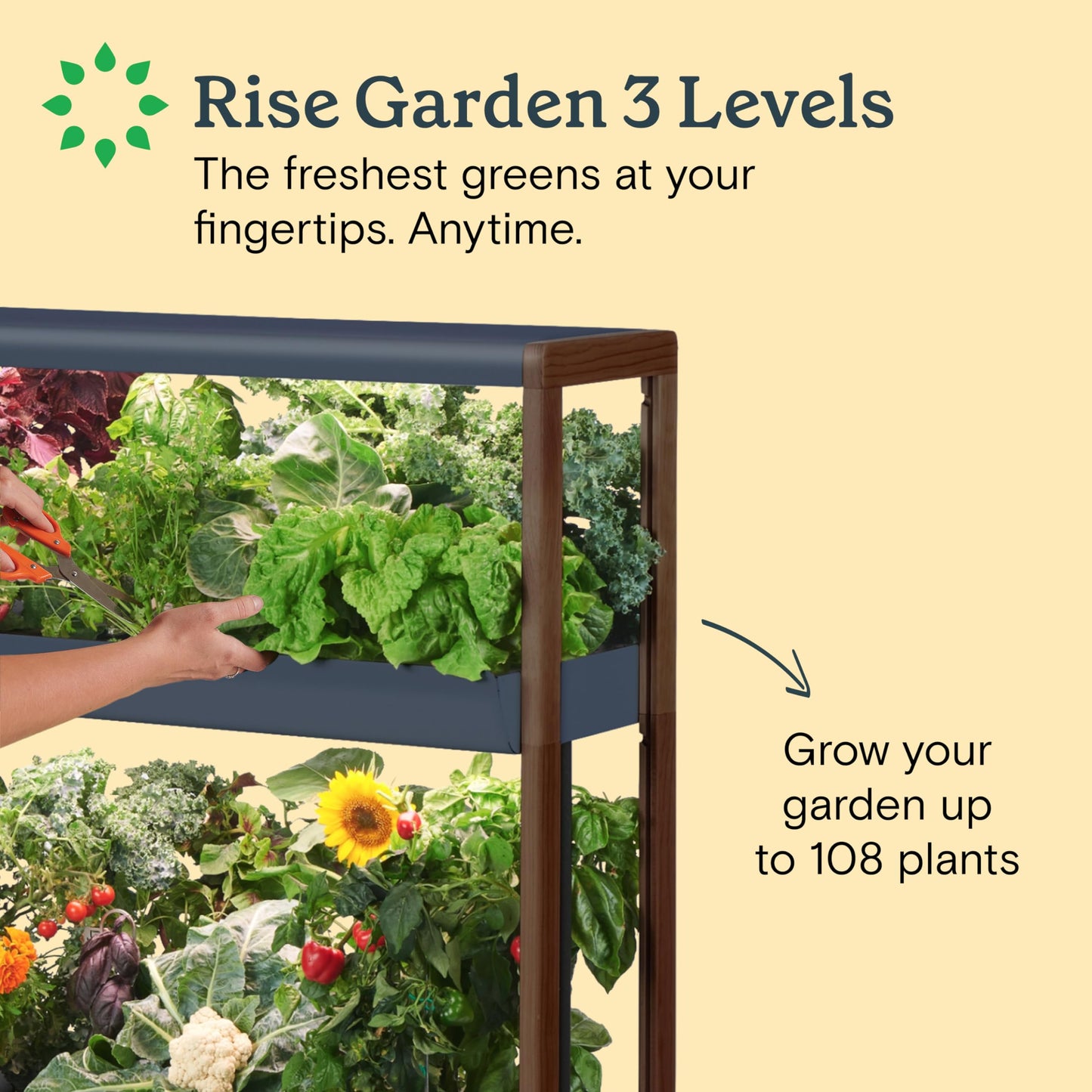 Rise Gardens 3 Level Garden Hydroponic Indoor Garden Kit with LED Grow Light, Cloud Color